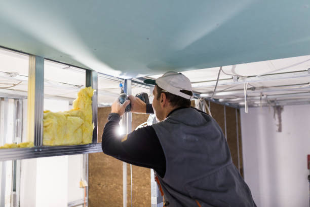 Best Affordable Insulation Services  in Dutch Island, GA
